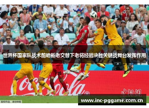 世界杯国家队战术前瞻新老交替下老将经验决胜关键战舞台发挥作用